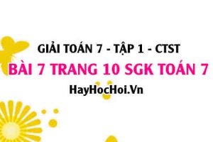 Giải bài 7 trang 10 Toán 7 Tập 1 SGK Chân trời sáng tạo